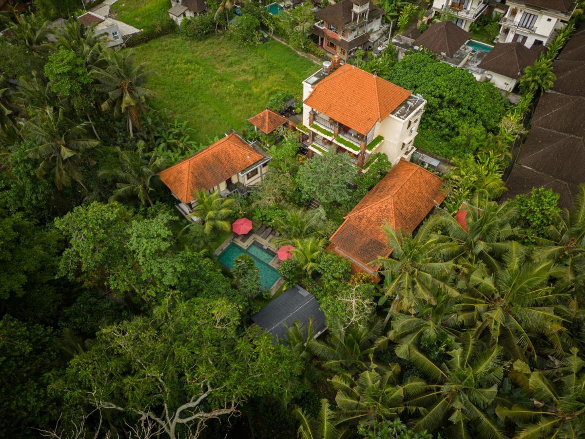 Sunshine Ubud