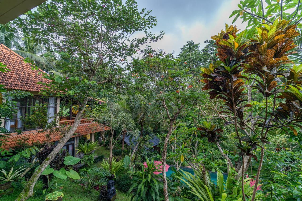 Sunshine 3* Ubud